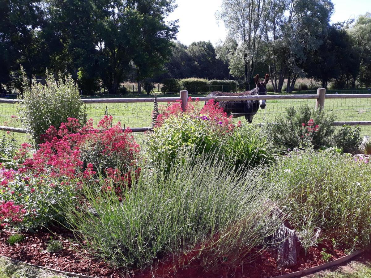 Gite De La Houssiere Joue-du-Bois Exteriör bild